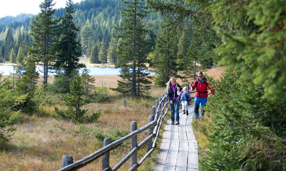 Familie wandert auf Holzweg in bergiger Waldlandschaft, von Bäumen und See umgeben.