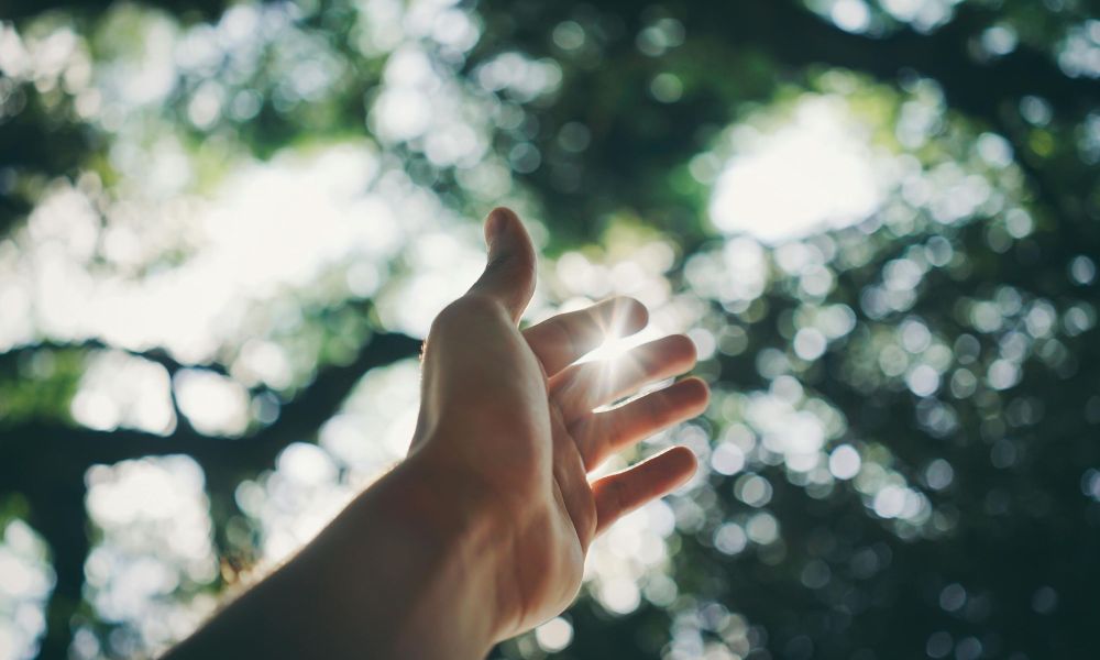 Hand greift nach der Sonne durch verschwommene Blätter.